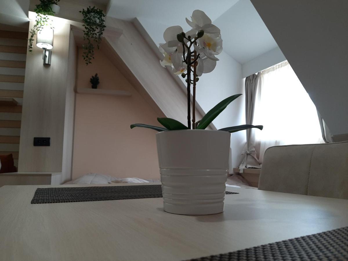Select Lux Angella-Konaci Apartment โคเปานิก ภายนอก รูปภาพ